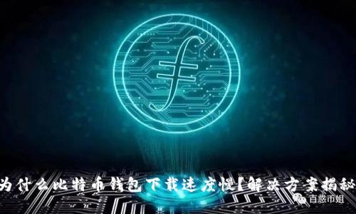 为什么比特币钱包下载速度慢？解决方案揭秘！