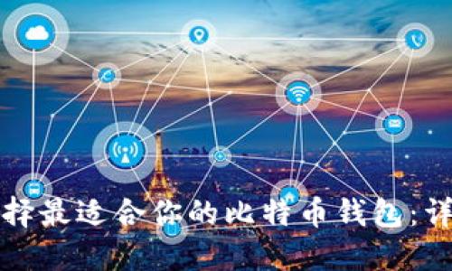 如何选择最适合你的比特币钱包：详细指南