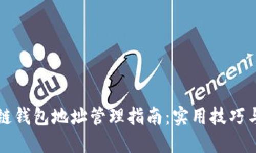 区块链钱包地址管理指南：实用技巧与策略