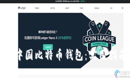 如何选择最适合的中国比特币钱包:实用指南与个人经验分享