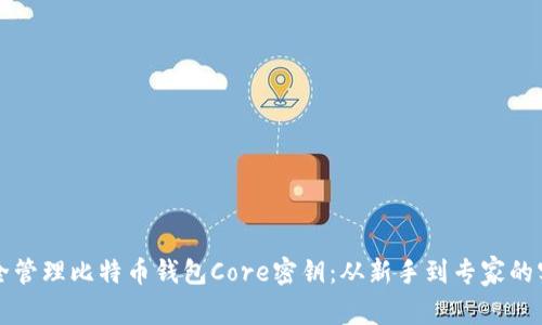 如何安全管理比特币钱包Core密钥：从新手到专家的实用指南