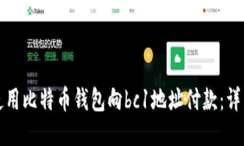 如何使用比特币钱包向bc1地址付款:详细指南