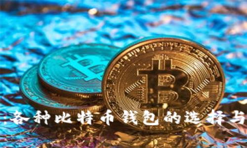 全面解析：各种比特币钱包的选择与实用价值