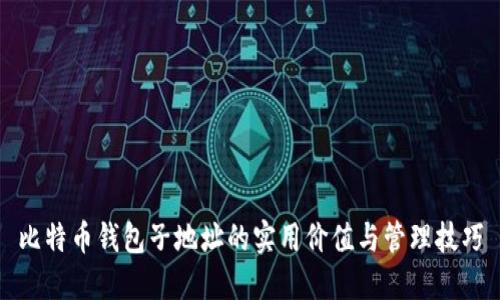 比特币钱包子地址的实用价值与管理技巧