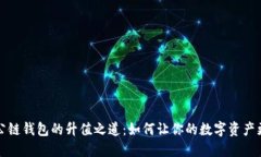 以太坊公链钱包的升值之