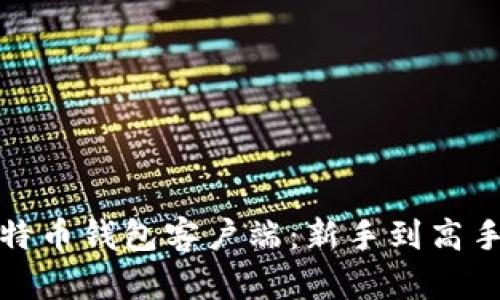 全面掌握比特币钱包客户端：新手到高手的实用教程