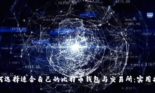 如何选择适合自己的比特币钱包与交易所：实用指南