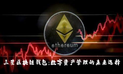 三星区块链钱包：数字资产管理的未来选择