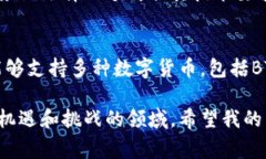 在BTC钱包中存储USDT（泰达