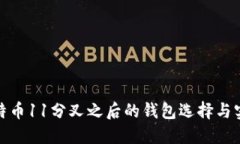 探索比特币11分叉之后的钱