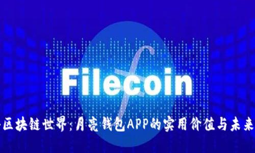 探秘区块链世界：月亮钱包APP的实用价值与未来潜力