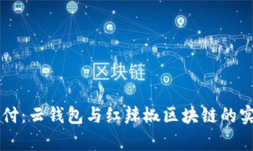 掌控未来支付：云钱包与红辣椒区块链的实用价值解析