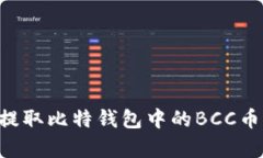如何有效提取比特钱包中