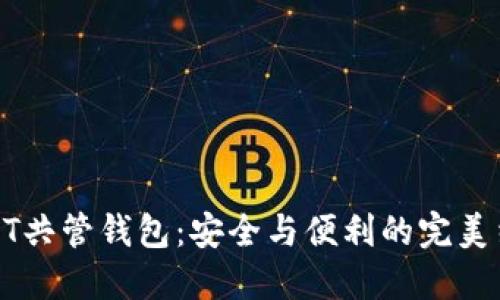 USDT共管钱包：安全与便利的完美结合