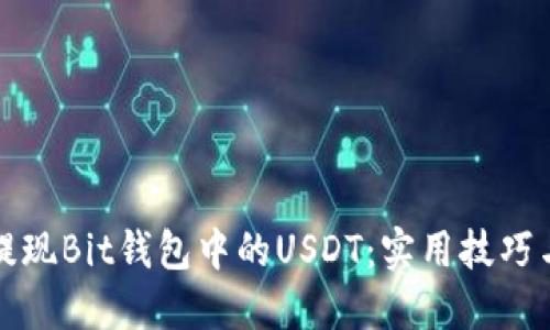 如何轻松提现Bit钱包中的USDT：实用技巧与详细指南