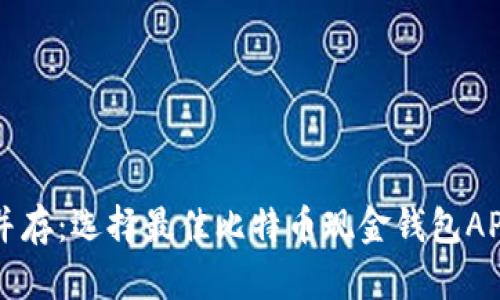 实用和安全并存：选择最佳比特币现金钱包APP的终极指南