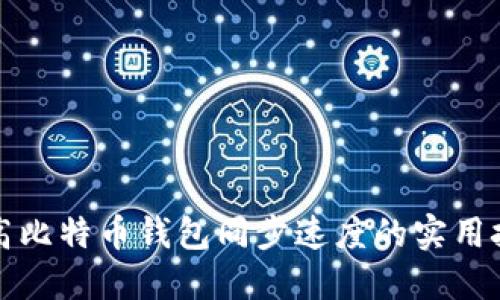 提高比特币钱包同步速度的实用技巧