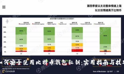 如何安全使用比特币钱包私钥：实用指南与技巧
