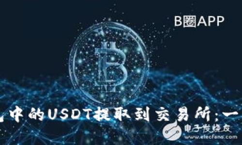 如何将TP钱包中的USDT提取到交易所：一步步实用指南