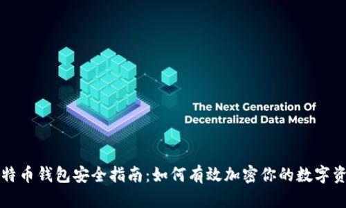 比特币钱包安全指南：如何有效加密你的数字资产