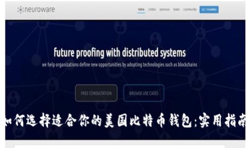 如何选择适合你的美国比特币钱包：实用指南