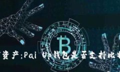 掌握数字资产：Pai Up钱包