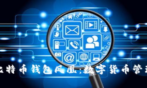 探索华为比特币钱包凤凰：数字货币管理的新纪元