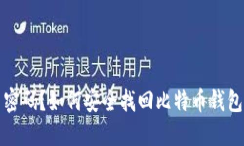 忘记交易密码？如何安全找回比特币钱包访问权限