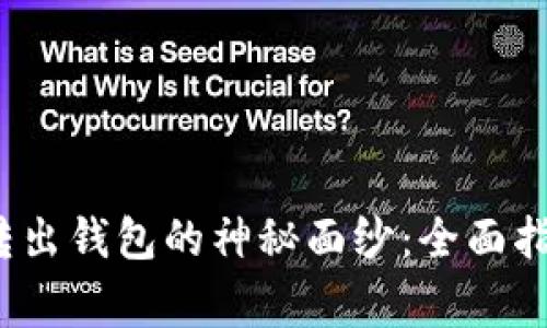  揭开比特币转出钱包的神秘面纱：全面指南与注意事项