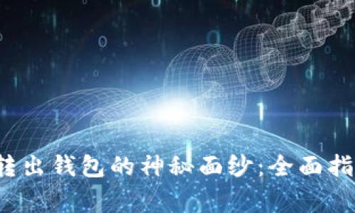  揭开比特币转出钱包的神秘面纱：全面指南与注意事项