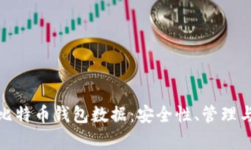 全面解析比特币钱包数据：安全性、管理与未来趋势