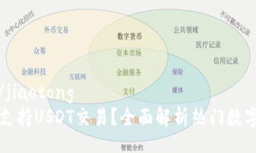 jiaotong/jiaotong
哪些钱包支持USDT交易？全面解析热门数字钱包一览