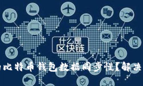 为什么你的比特币钱包数据同步慢？解决方法与技巧