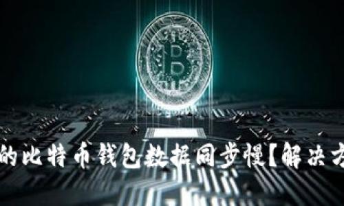 为什么你的比特币钱包数据同步慢？解决方法与技巧