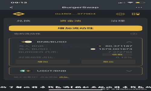 你真的了解比特币钱包吗？揭秘正规比特币钱包的秘密