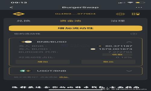 选择最适合你的比特币钱包：全面指南