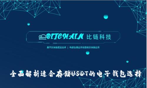  全面解析适合存储USDT的电子钱包选择