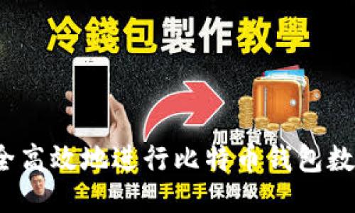 如何安全高效地进行比特币钱包数据转移？