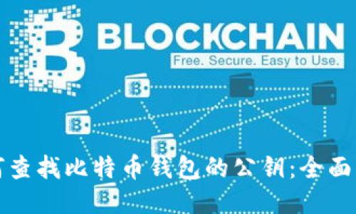 如何查找比特币钱包的公钥：全面指南