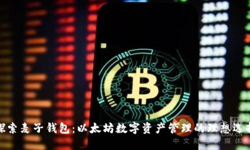 探索麦子钱包：以太坊数字资产管理的理想选择