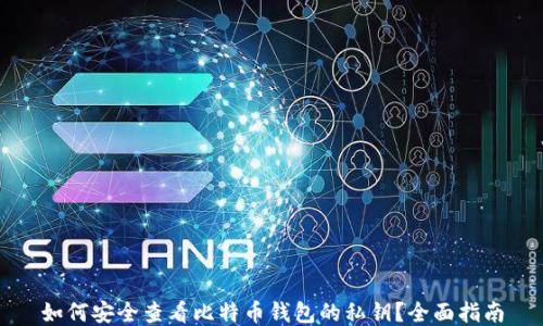 
如何安全查看比特币钱包的私钥？全面指南