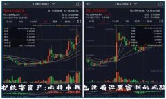 如何保护数字资产：比特