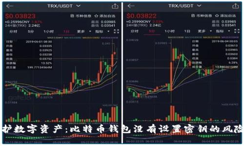 如何保护数字资产：比特币钱包没有设置密钥的风险与对策