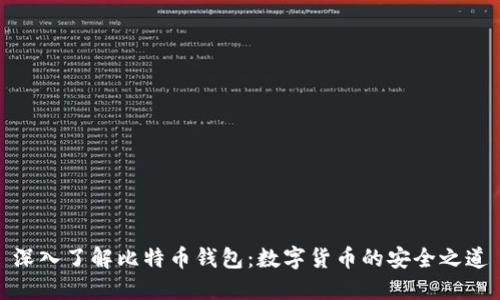 深入了解比特币钱包：数字货币的安全之道