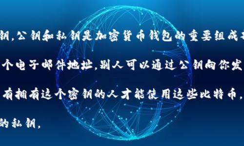 答案：是的，比特币钱包中确实具有公钥和私钥。公钥和私钥是加密货币钱包的重要组成部分，分别用于接收和发送比特币。

1. **公钥**：它是通过私钥生成的，类似于一个电子邮件地址，别人可以通过公钥向你发送比特币。公钥是公开的，任何人都可以查看。

2. **私钥**：这是用来控制比特币的钥匙，只有拥有这个密钥的人才能使用这些比特币。私钥是保密的，不应该被泄露给他人。

因此，比特币钱包不仅有公钥，还有与之对应的私钥。