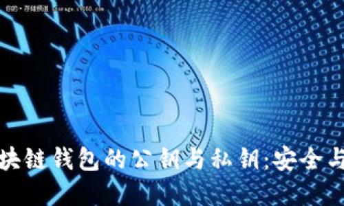 深入理解区块链钱包的公钥与私钥：安全与隐私的根基