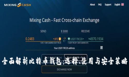 全面解析比特币钱包：选择、使用与安全策略