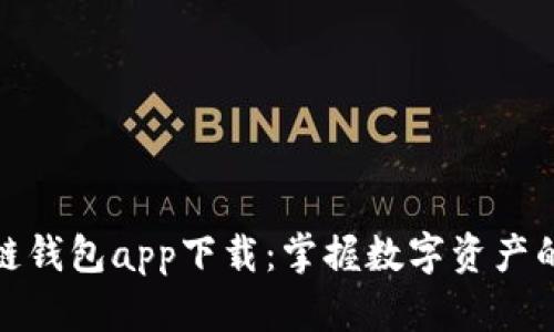 DCM区块链钱包app下载：掌握数字资产的安全之钥