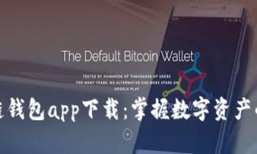 DCM区块链钱包app下载：掌握数字资产的安全之钥