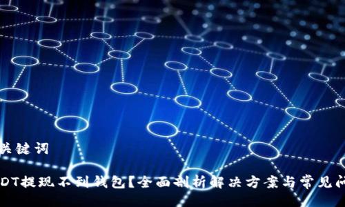 与关键词

USDT提现不到钱包？全面剖析解决方案与常见问题